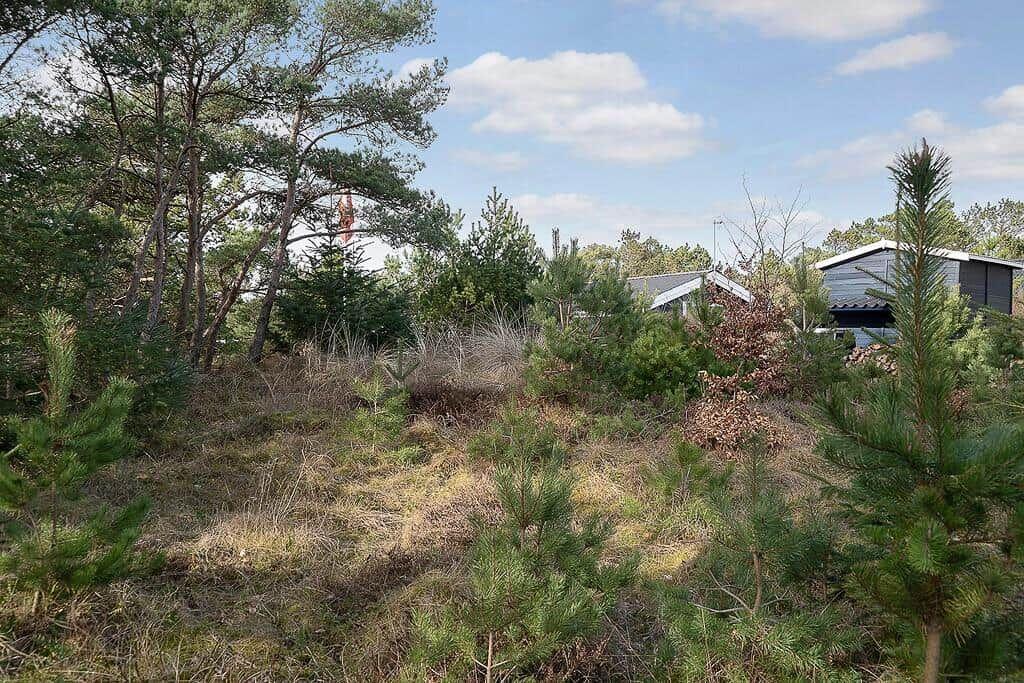 Waldstück mit Blick auf Holzhaus und Himmel