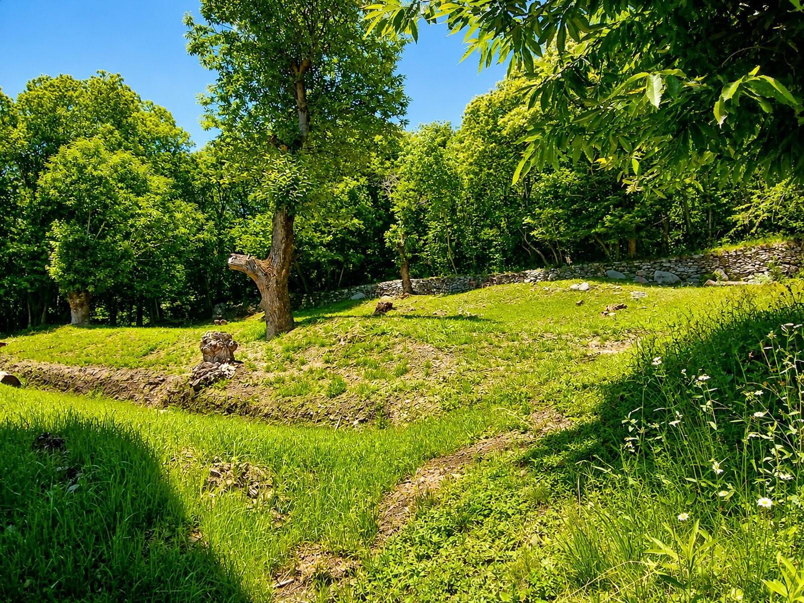 Entspannen in einem grünen Garten