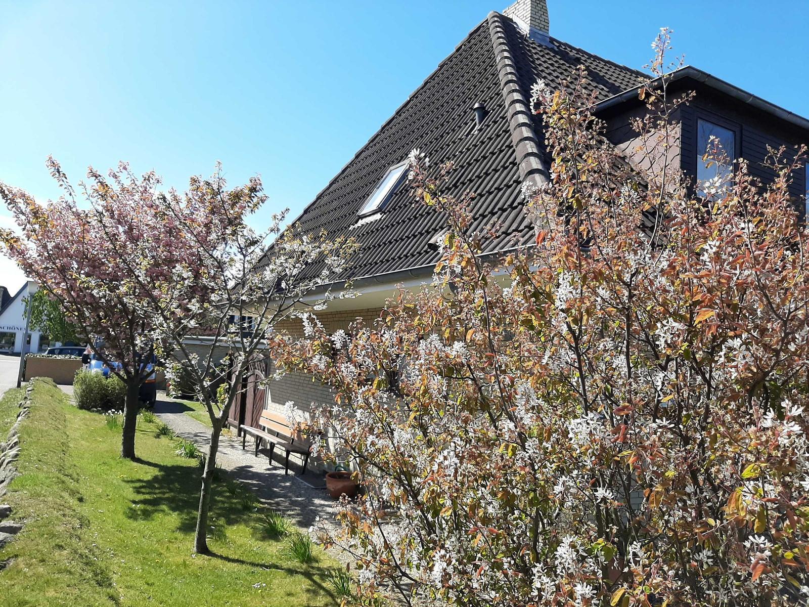 House with black roof, blooming trees, and green lawn in the front garden.