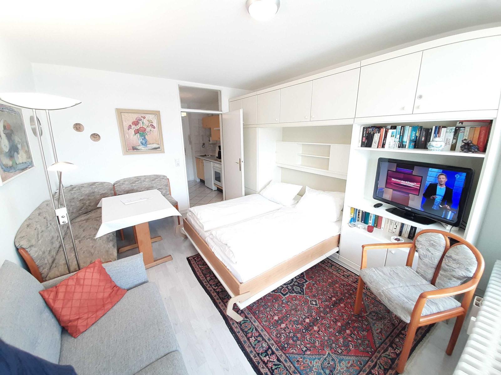 Living room with sleeping area and TV