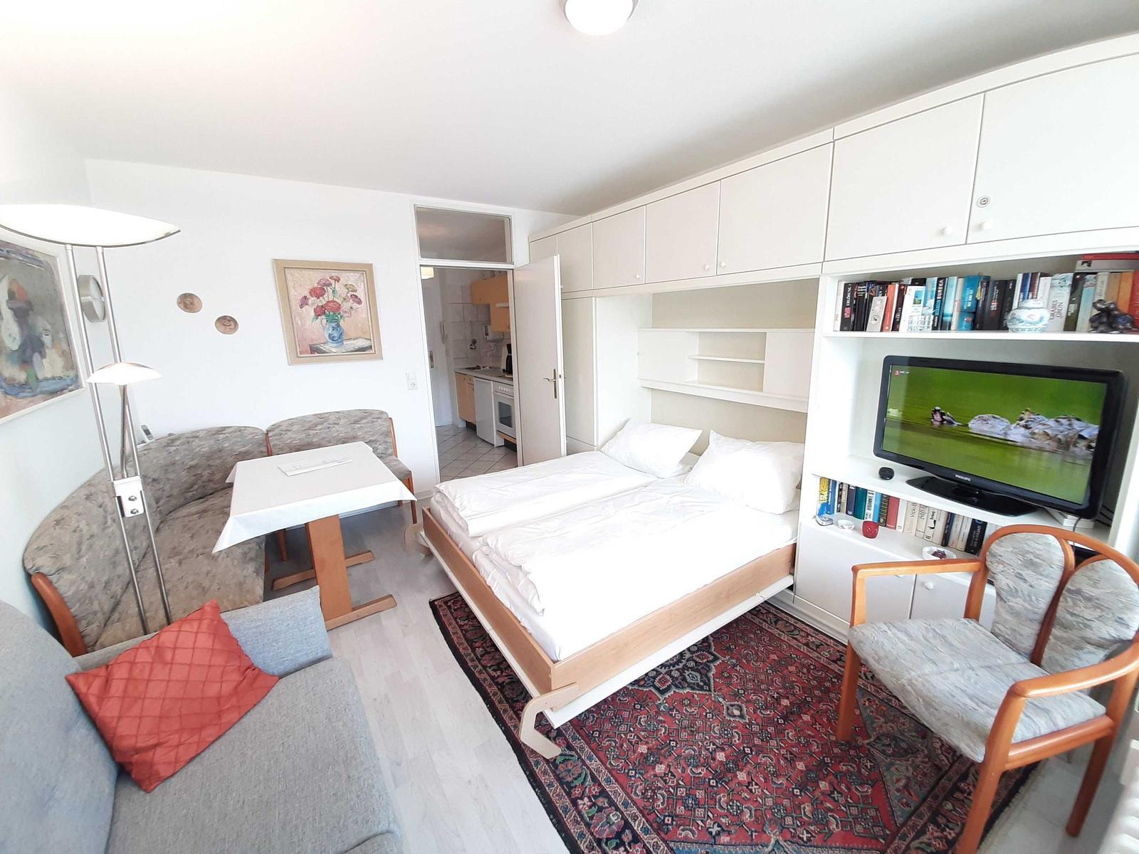Living room with sleeping area and TV