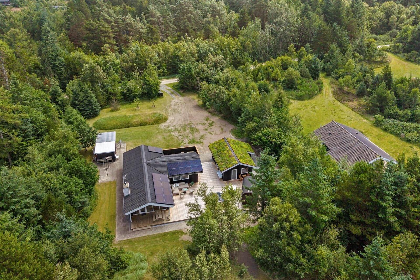Haus mit grünen Dächern und Solaranlagen in Waldnähe