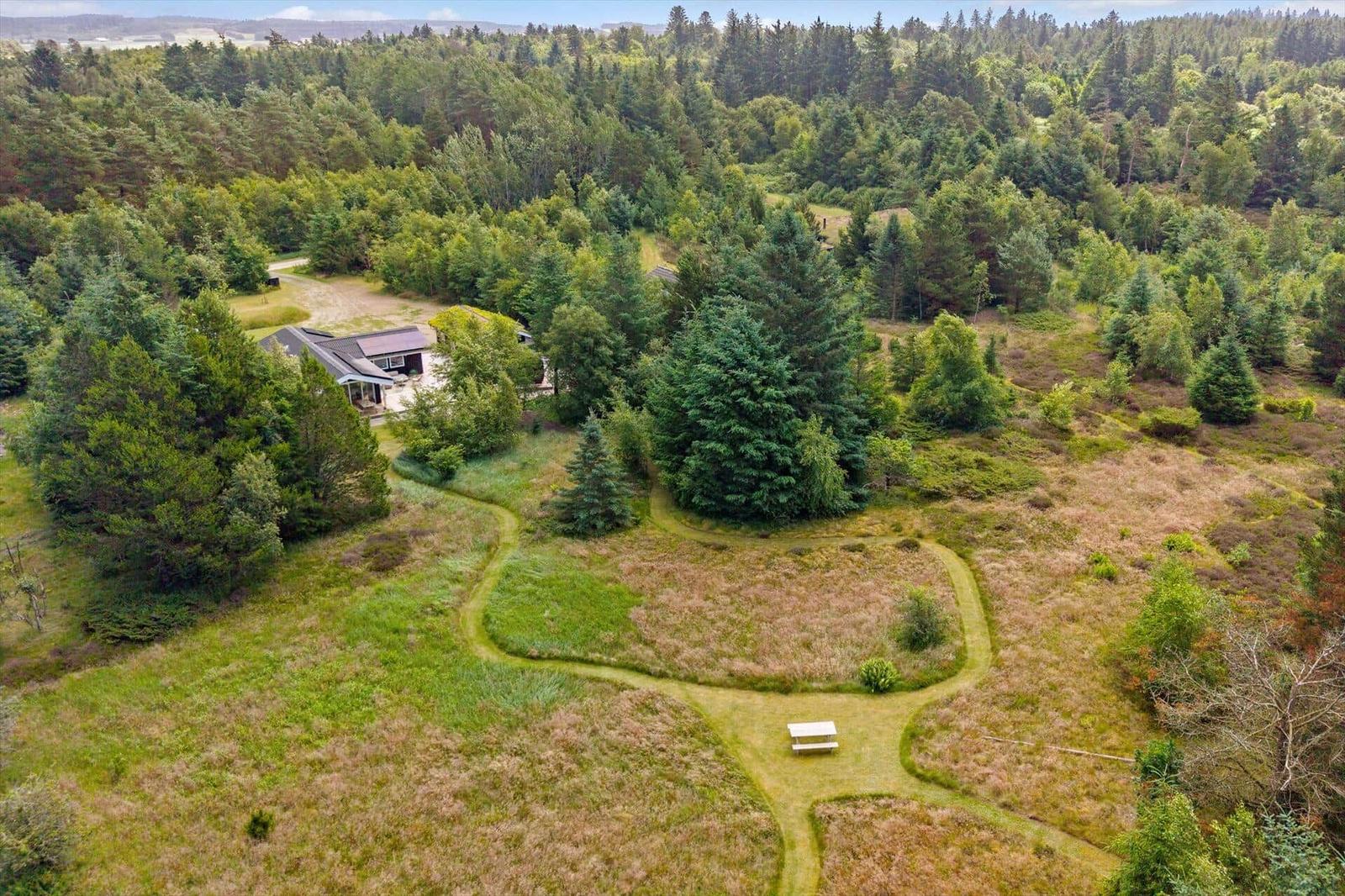 Haus in Waldlandschaft mit Wanderwegen und Picknicktisch.