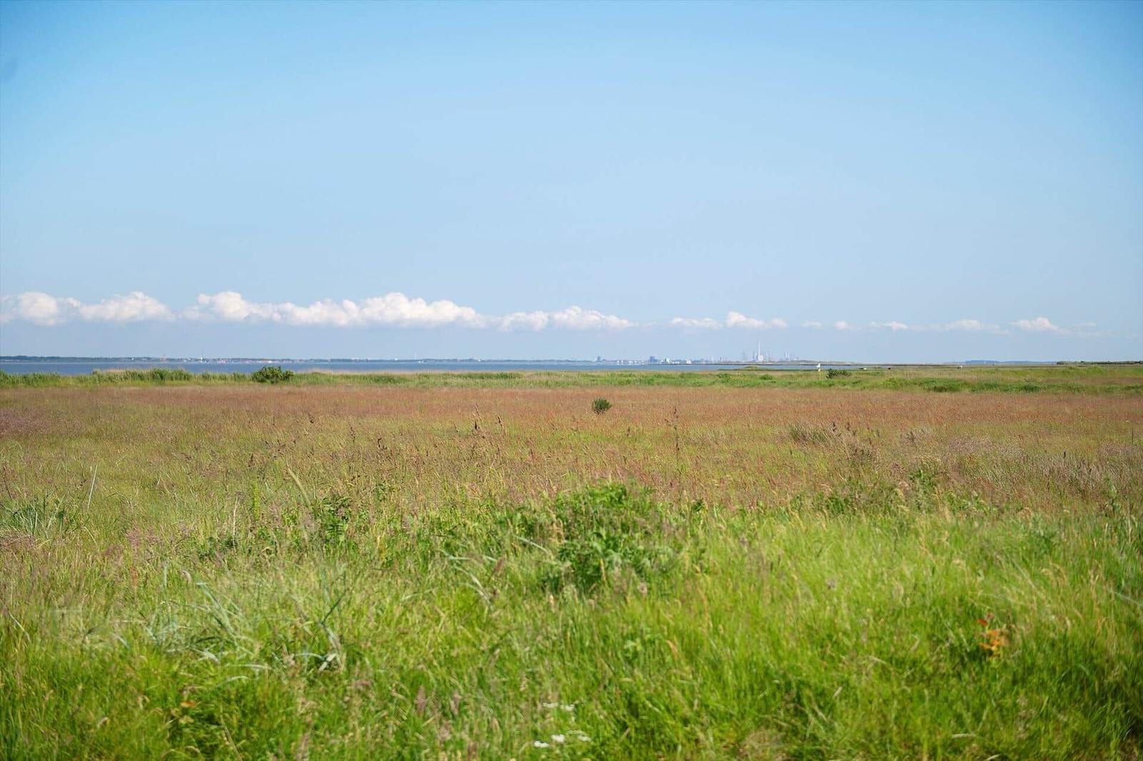 Weitläufiges Grasland mit Blick auf Wasser und Horizont unter blauem Himmel mit weißen Wolken.