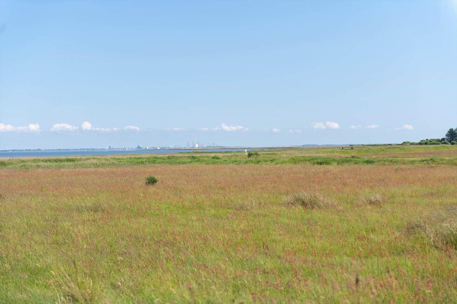 Weites Grasland mit Blick auf Wasser und entfernte Industrieanlagen unter blauem Himmel.