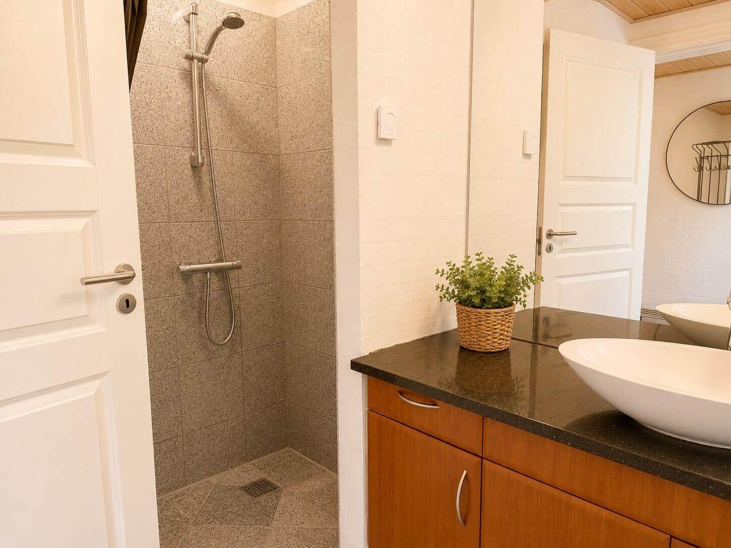 Bad mit Dusche, Waschtisch und Pflanze auf dunklem Waschtisch.