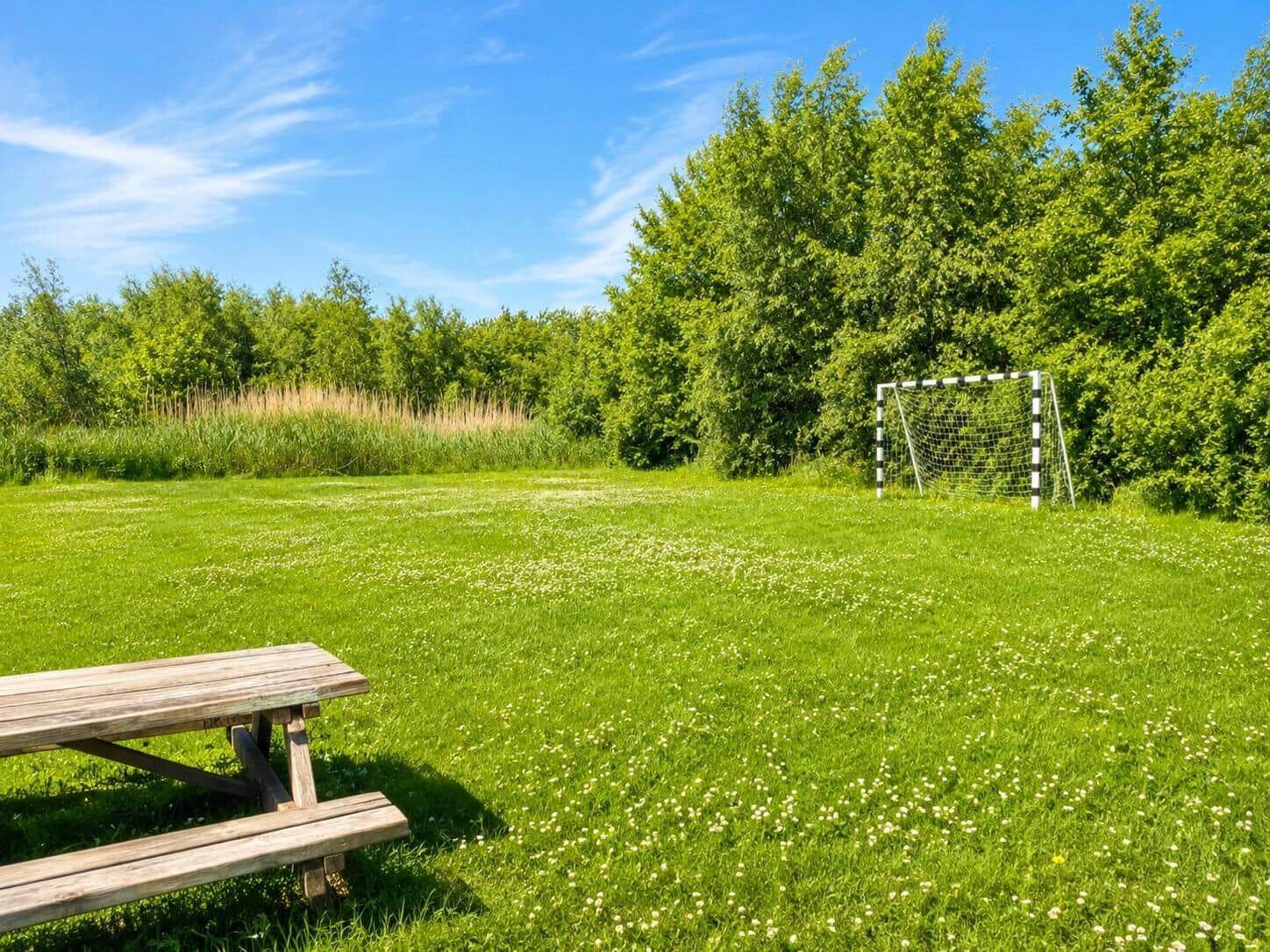 Grünes Feld mit Picknicktisch und Fußballtor. Hintergrund: Bäume und hohes Gras.