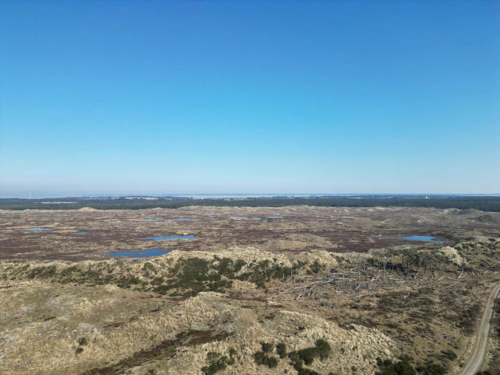 Weitläufige Landschaft mit Mooren und Wasserflächen unter blauem Himmel.