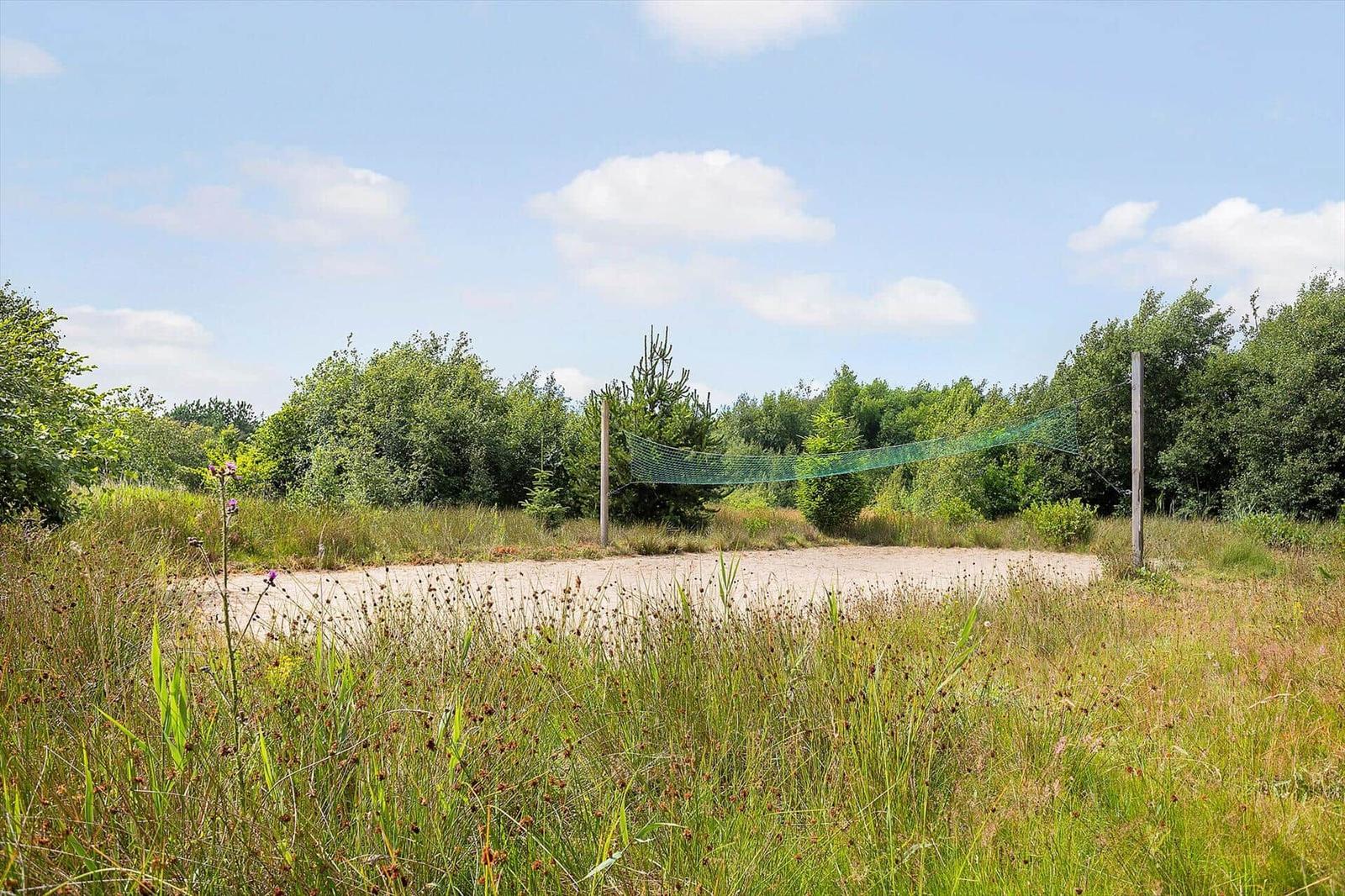 Grünes Feld mit Volleyballnetz zwischen Bäumen unter blauem Himmel.