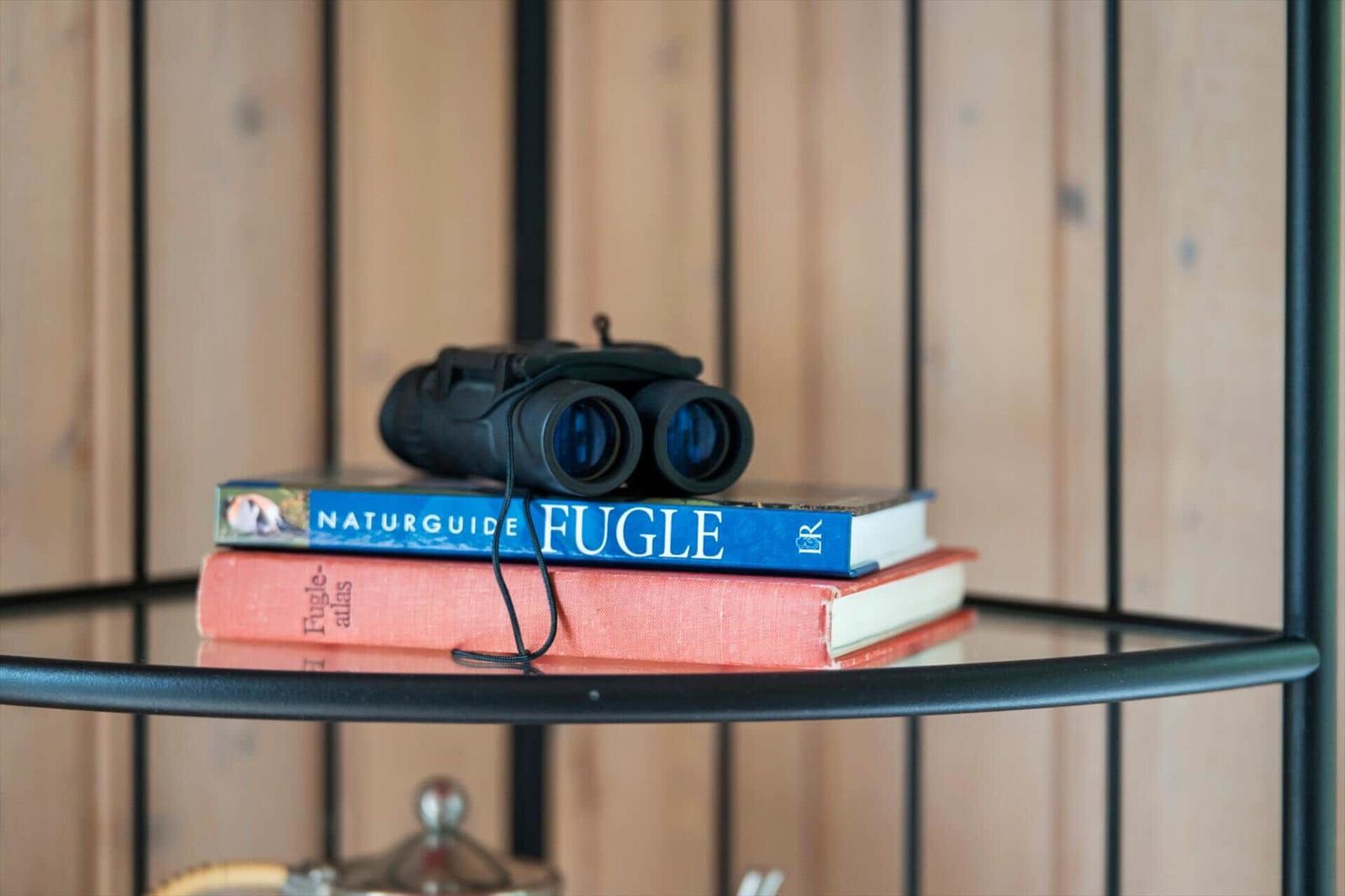 Auf einem Regal liegen Bücher und ein Fernglas. Hintergrund ist Holzwand.