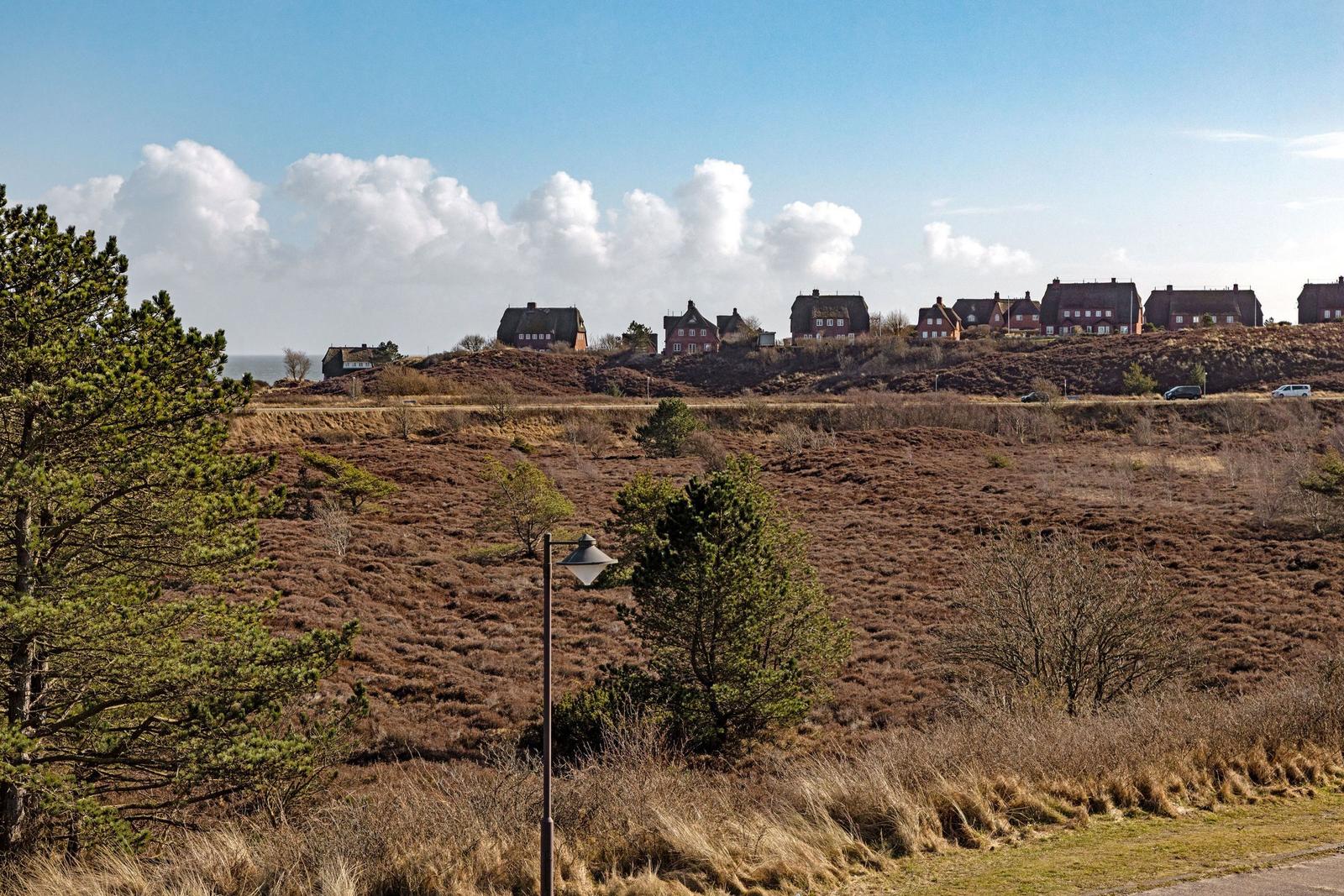 Häuser auf Hügeln mit Heide und blauem Himmel.