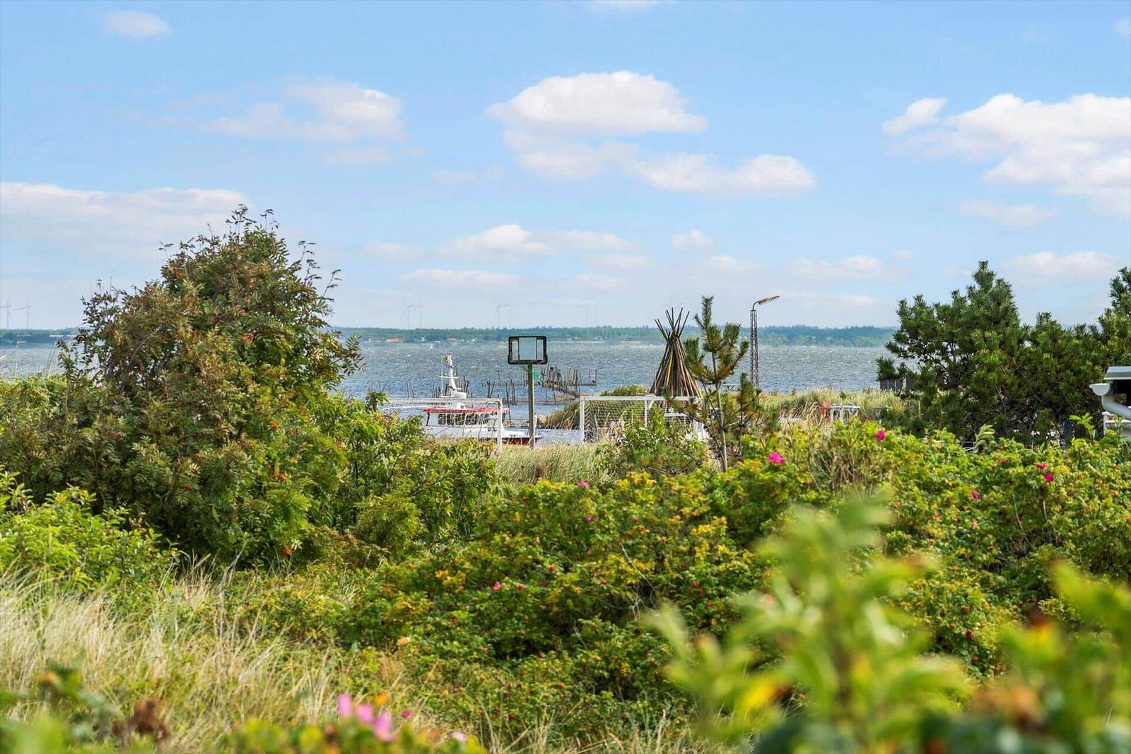 Grüne Vegetation mit Blick auf Wasser und Boot.