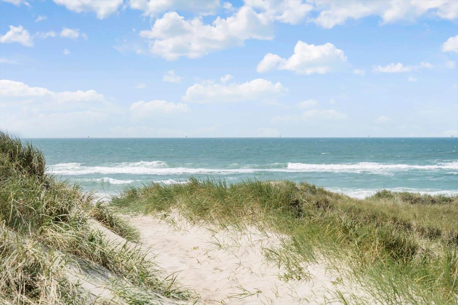 Sanddünen mit Gras führen zum Meer unter blauem Himmel mit weißen Wolken.