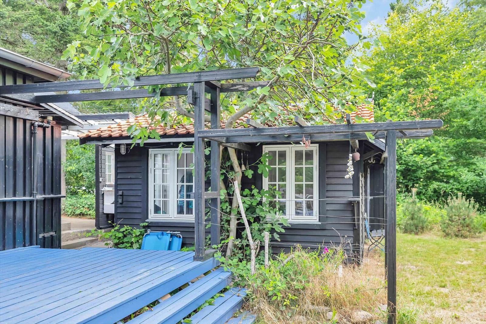 Black wooden house with white windows and terrace under a fig tree.