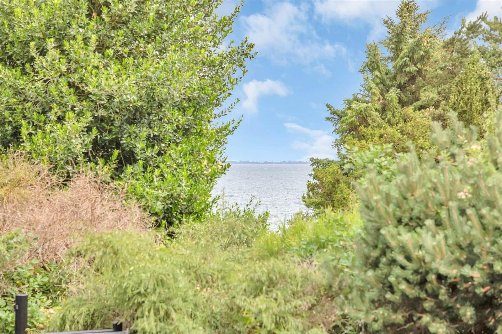 Through green trees and shrubs, one views the sea under a blue sky.