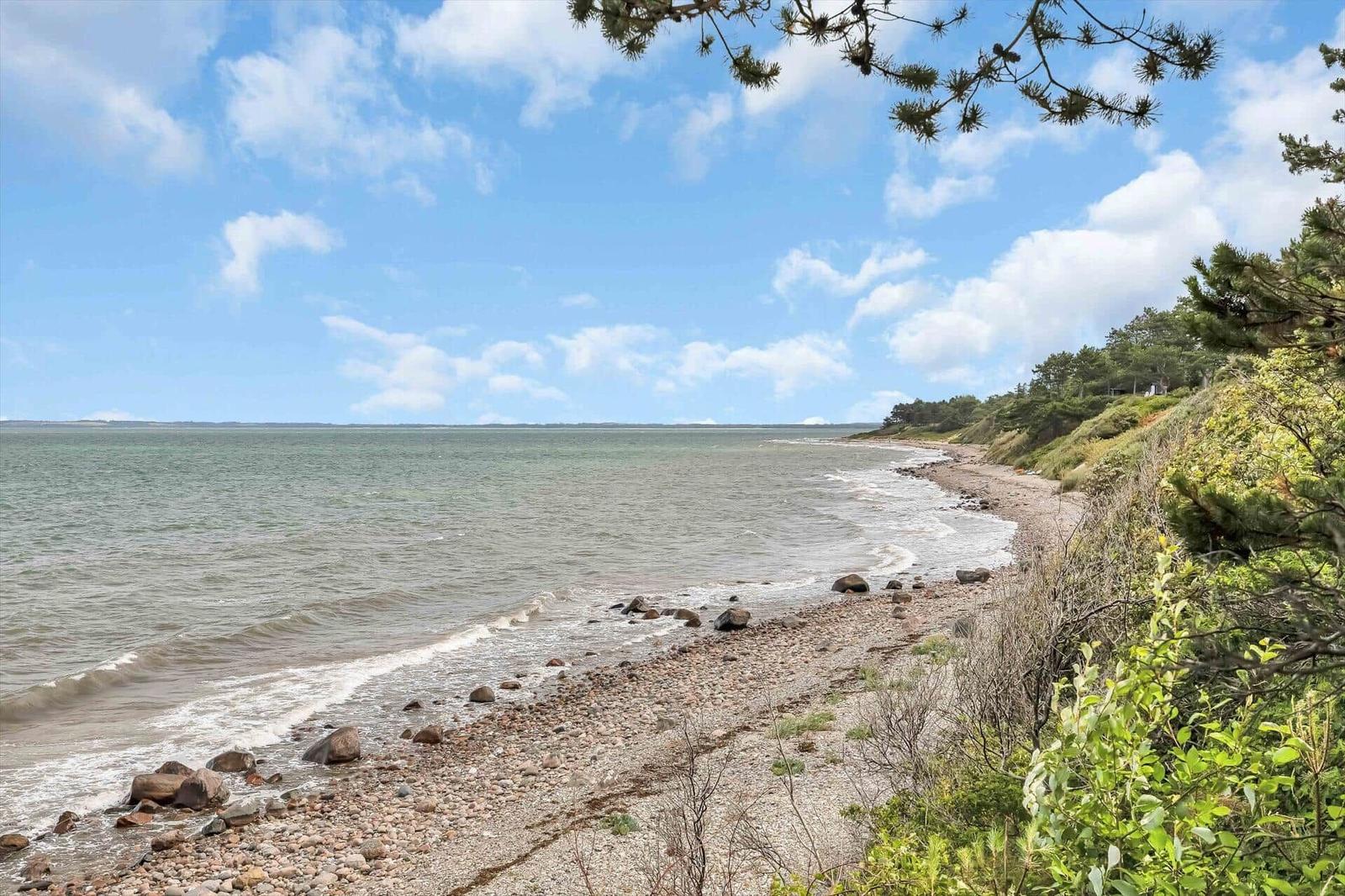 Beach with stones and trees under blue sky with white clouds.