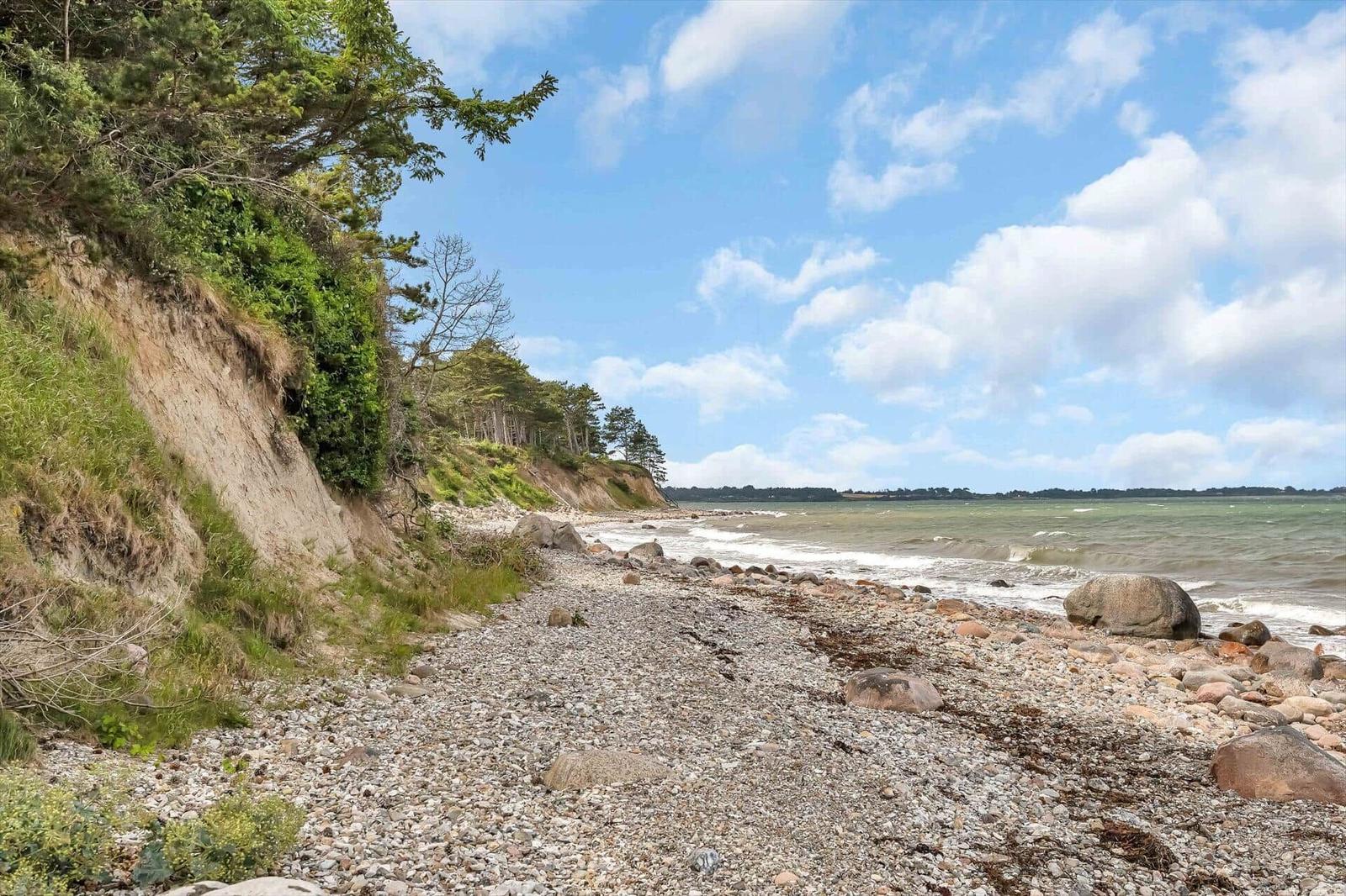 Rocky beach with dunes and trees by the sea under a blue sky with white clouds.