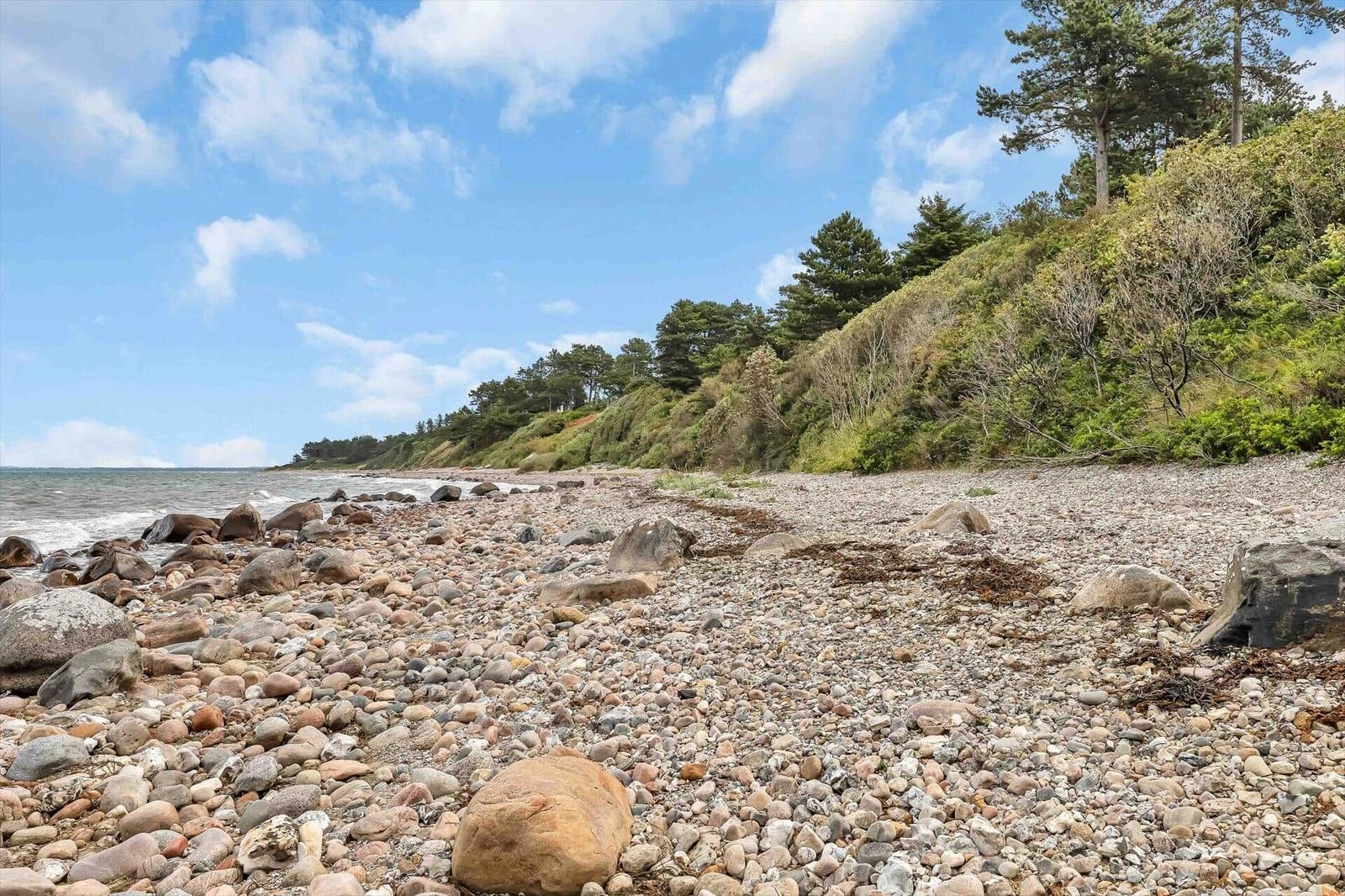 Rocky beach with trees and sea under blue sky.