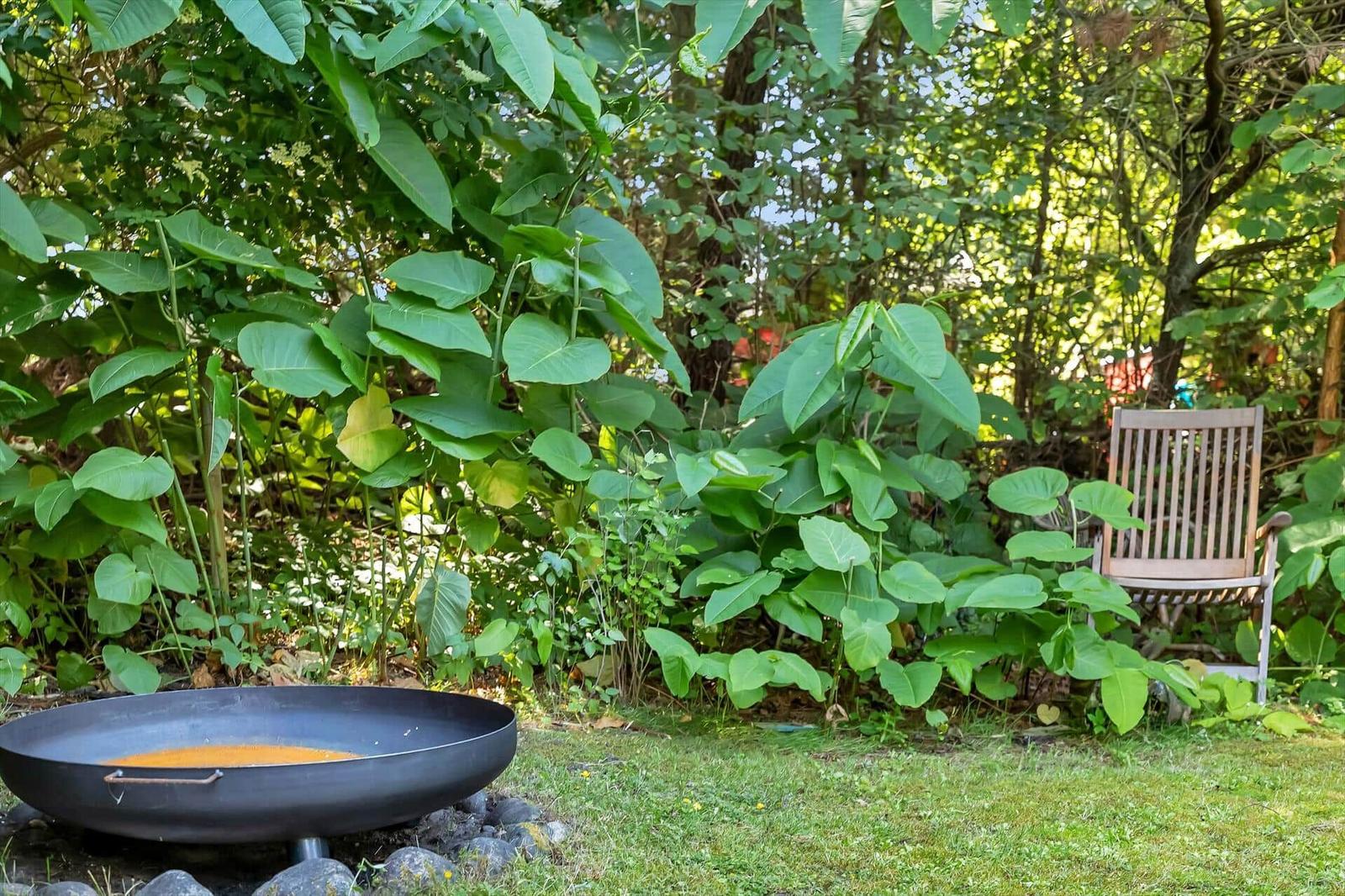 Garten mit Sitzgelegenheit und Feuerkessel umgeben von grüner Vegetation.