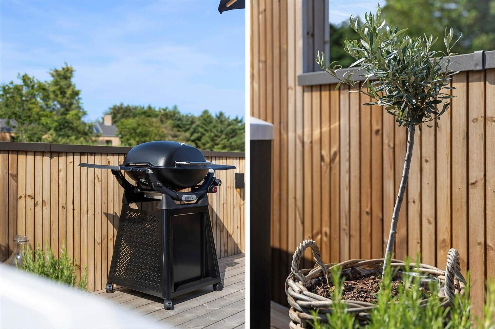 Außenbereich mit Grill und Pflanze in Korb