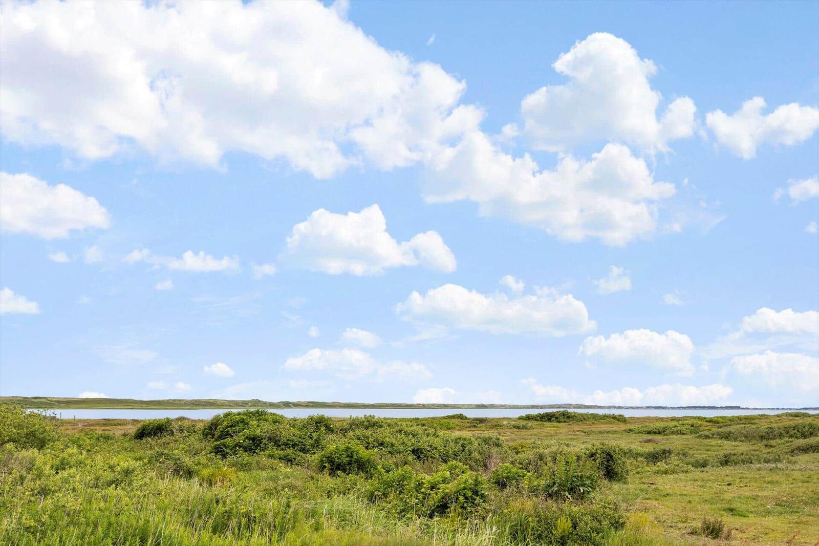 Weitläufiges Grasland mit Wasser im Hintergrund unter einem blauen Himmel mit weißen Wolken.