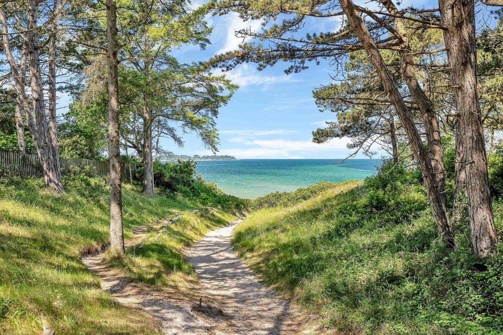 Path through trees to the sea with green vegetation and blue sky.