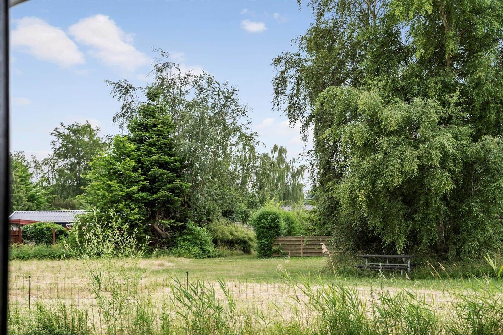 Grüner Garten mit Bäumen, Picknicktisch und Zaun. Hintergrund zeigt Gebäude und Himmel.