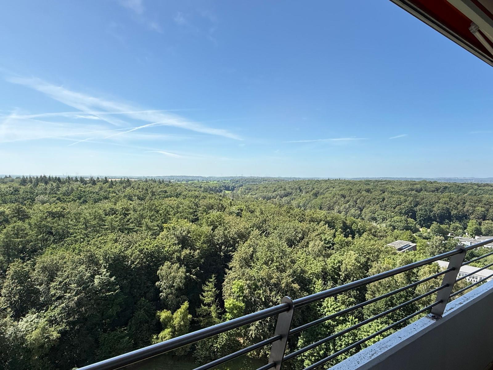 View from balcony over green forest landscape under blue sky