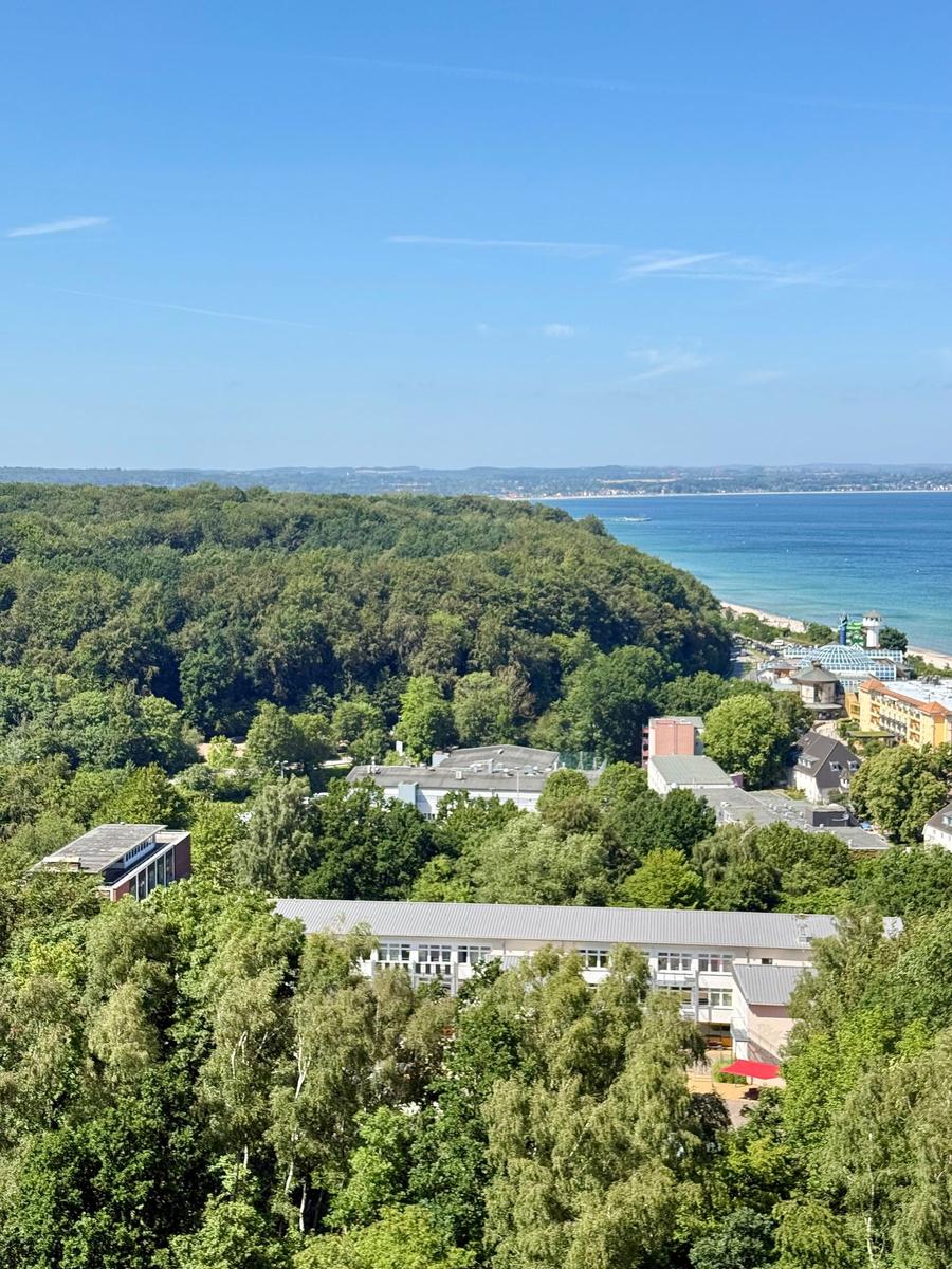Panoramic view of a forest, buildings, and a beach with blue sea under clear sky.