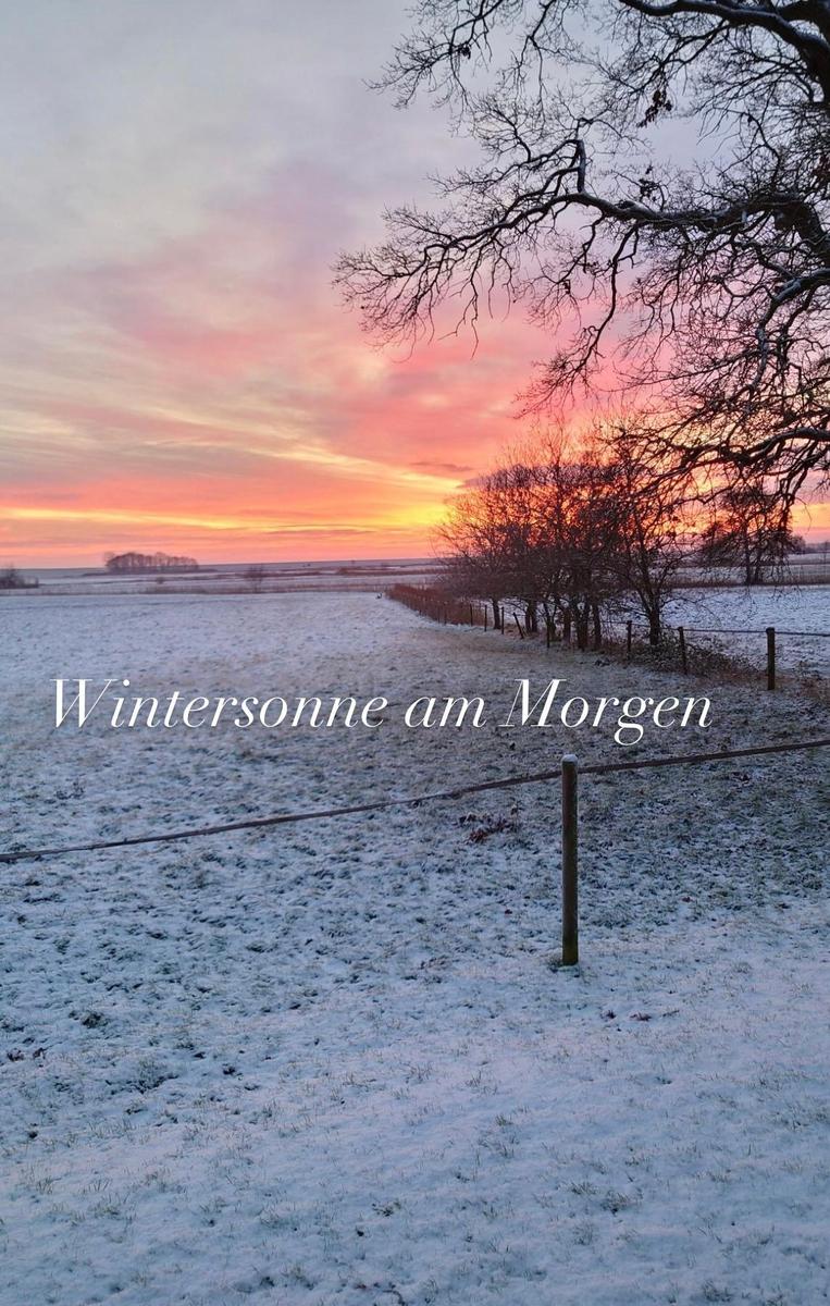 Schneebedecktes Feld bei Sonnenaufgang mit Bäumen und Zaun im Vordergrund.