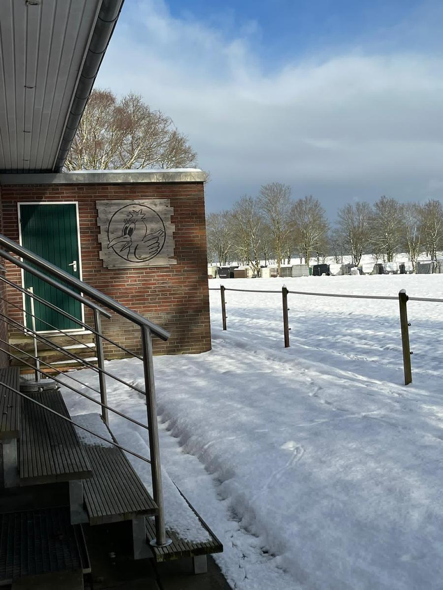 Eingang mit Holztreppe und Schneefläche. Holzschild mit Vogelbild an Backsteinmauer.