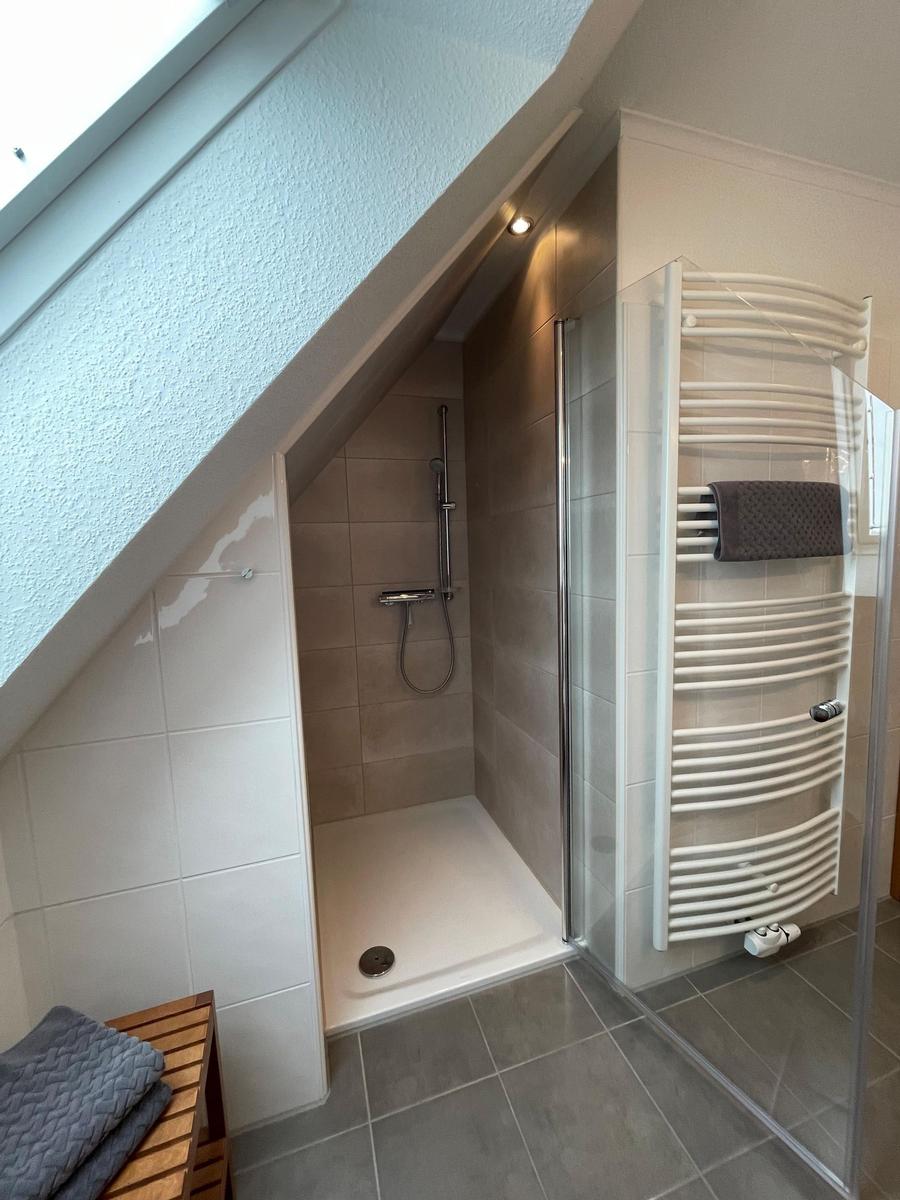 Dusche mit Duschbrause, Heizkörper und Dachfenster