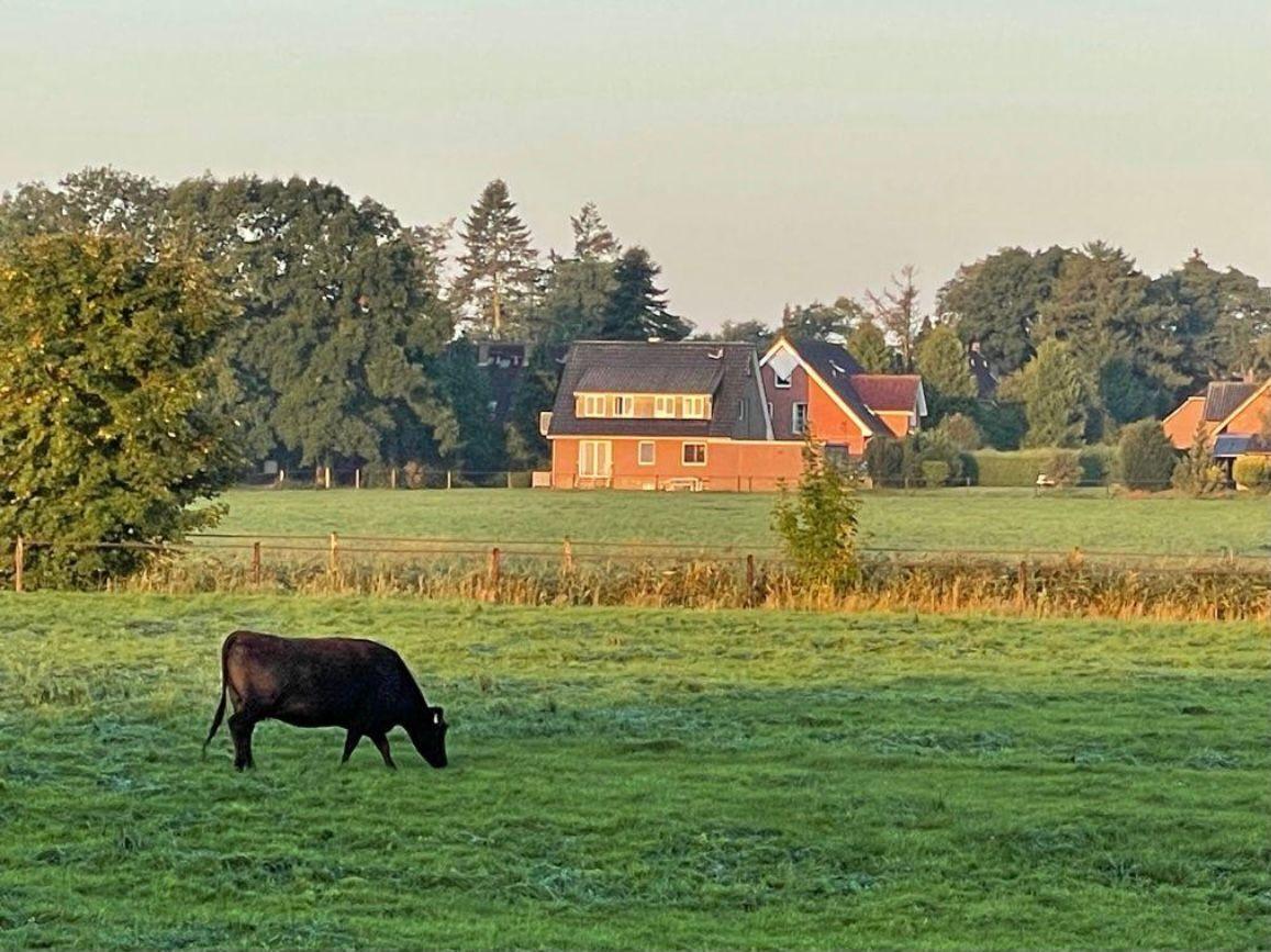 Eine Kuh weidet auf einem grünen Feld. Im Hintergrund steht ein rotes Haus mit Dach.