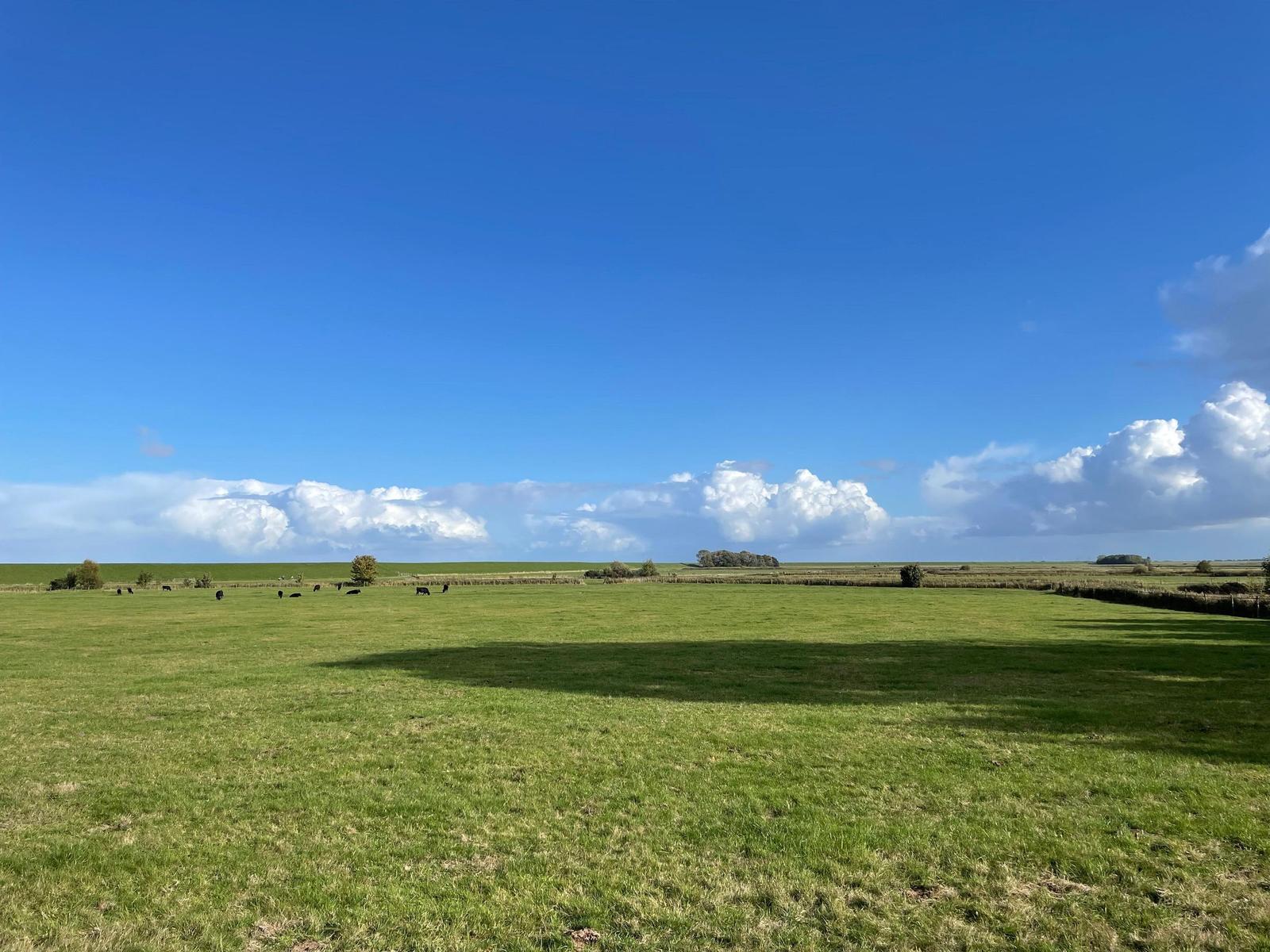 Weite grüne Wiese unter blauem Himmel mit weißen Wolken und schattigen Bereichen.