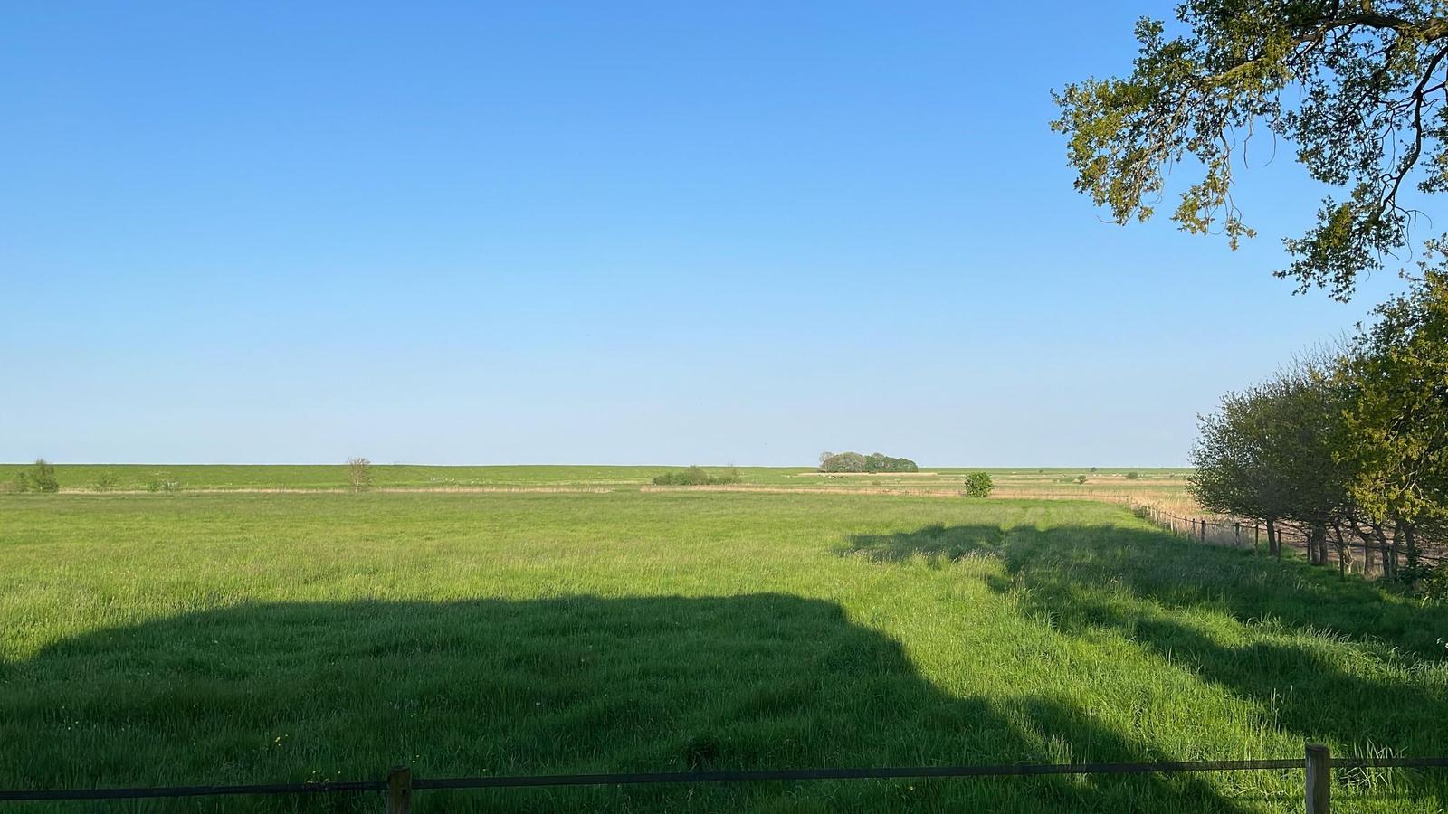Weitläufiges Grasland unter blauem Himmel mit Bäumen und Zaun im Vordergrund.