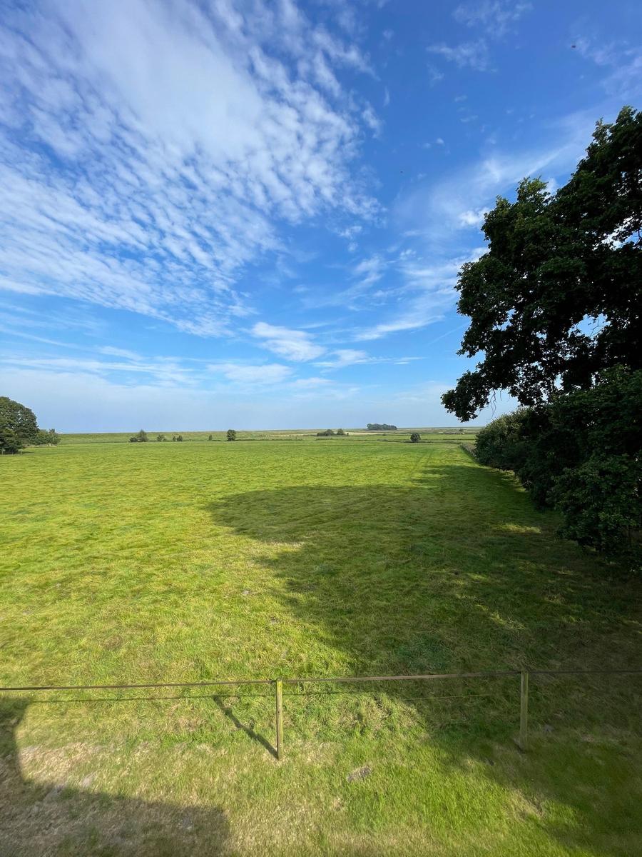 Weitläufiges Grünland unter blauem Himmel mit Bäumen und einem Zaun im Vordergrund.