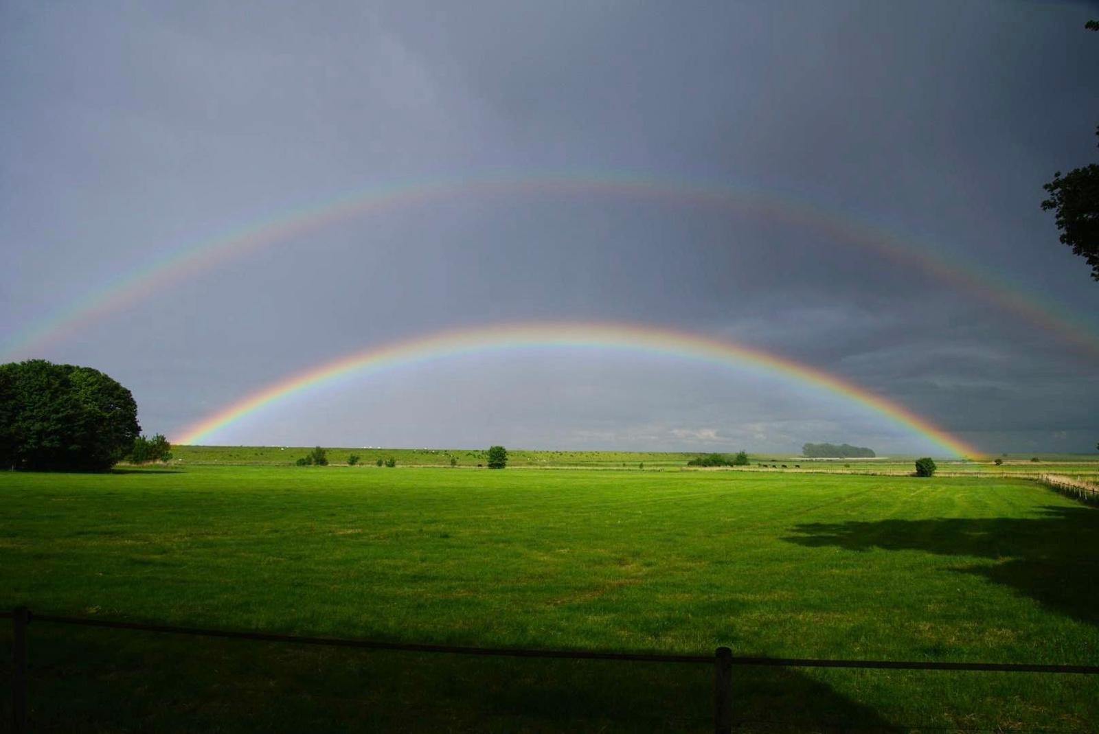 Ein Regenbogen spannt sich über ein grünes Feld unter bewölktem Himmel.