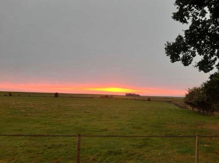 Sonnenuntergang über grünes Feld mit Baum und Zaun im Vordergrund.