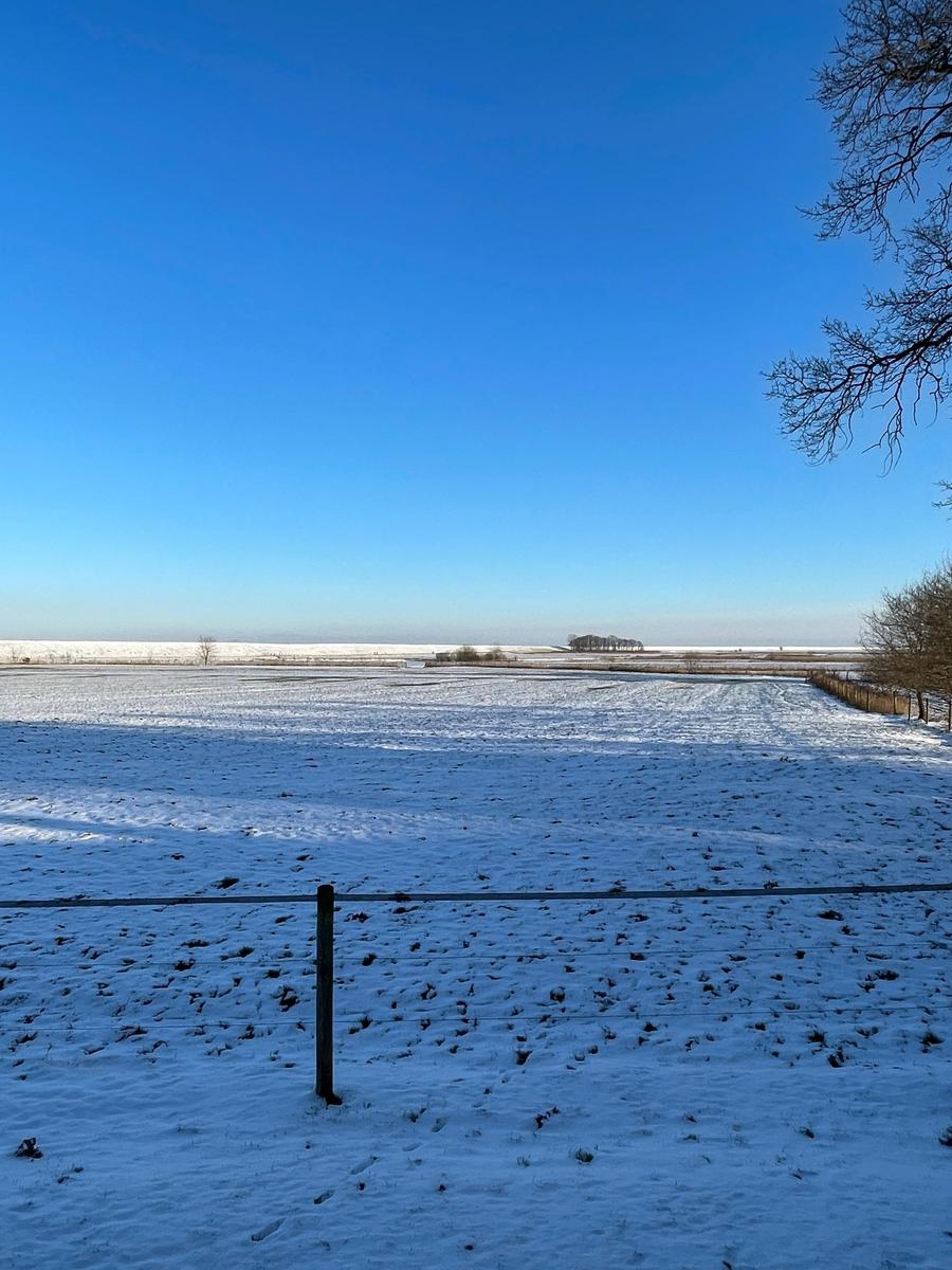 Schneebedecktes Feld unter klarem blauen Himmel mit Strommast und kahlen Bäumen