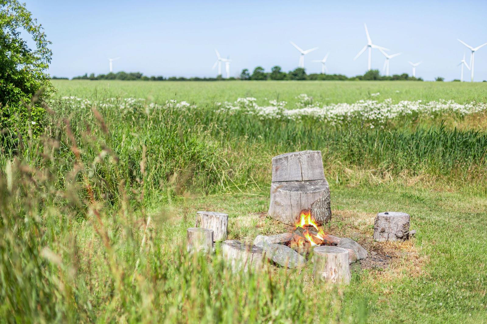 Ein Lagerfeuer mit Holzstümpfen im Gras, im Hintergrund Windräder.