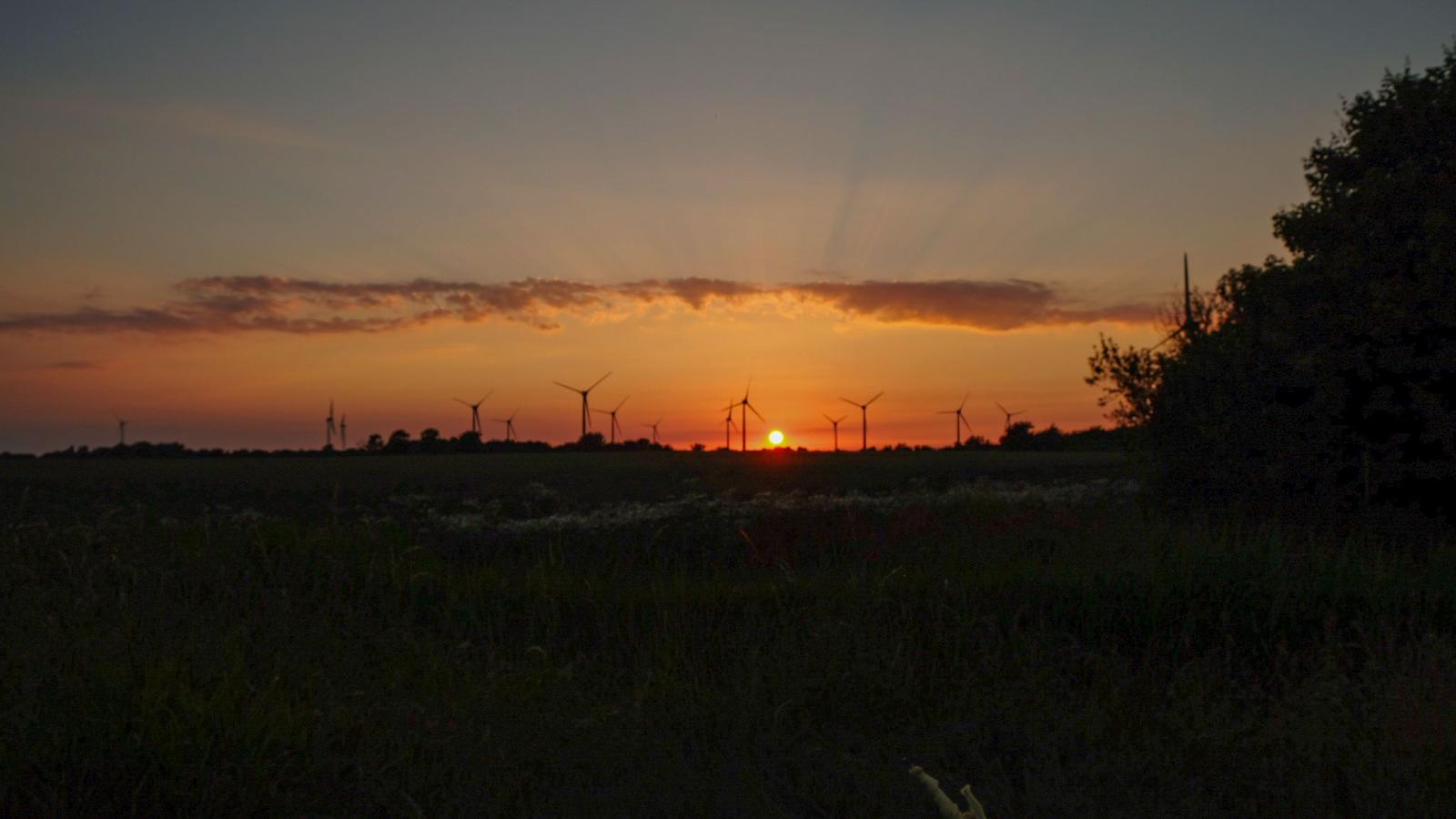 Garten Sonnenuntergang