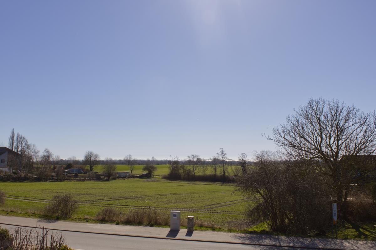 Weitläufiges Feld unter blauem Himmel mit Bäumen und Weg im Vordergrund.