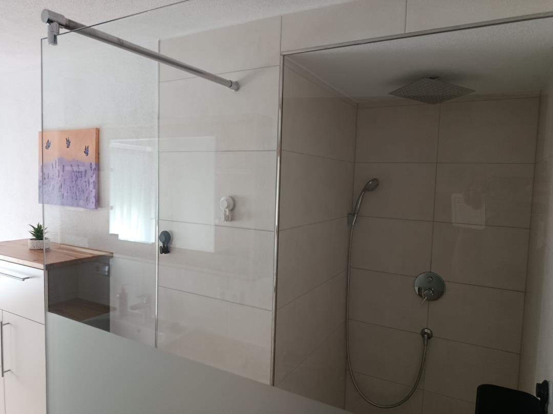 Shower with handheld showerhead and glass enclosure, next to kitchenette with wooden countertop.