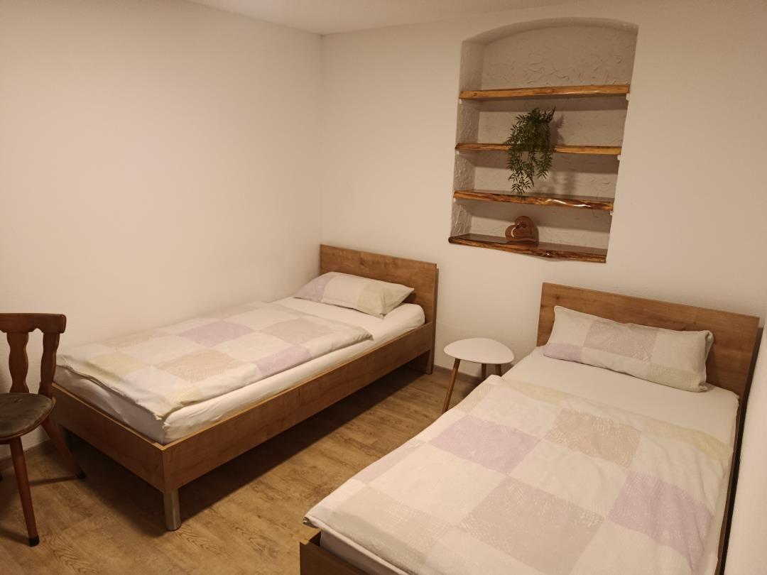 Two single beds with wooden frames and checkered bed linens. Wall shelf with plant and wooden chair.