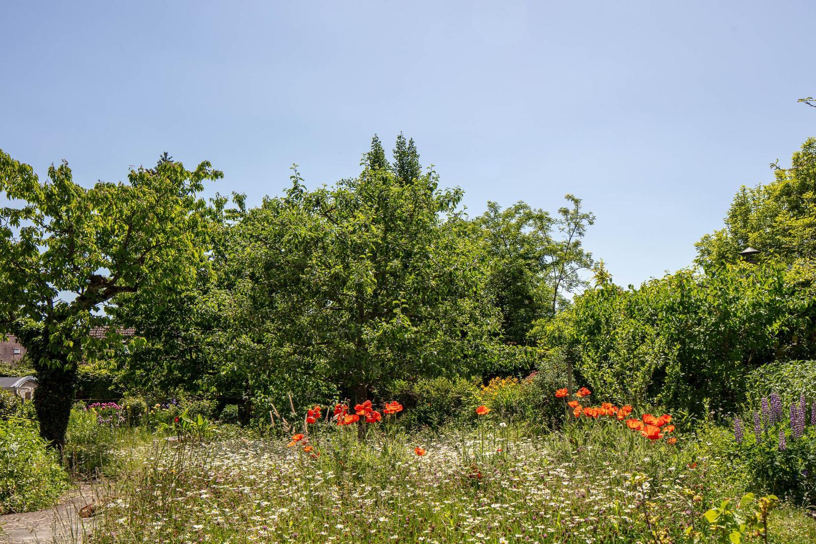 Garten mit Blumen und Bäumen unter blauem Himmel.