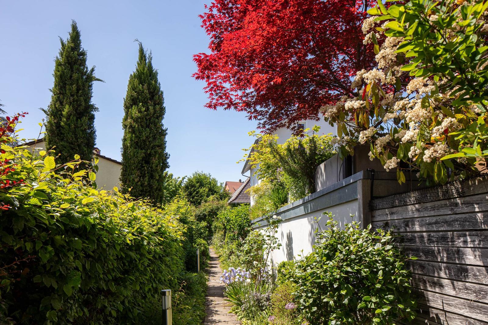 Privatweg zum Haus...