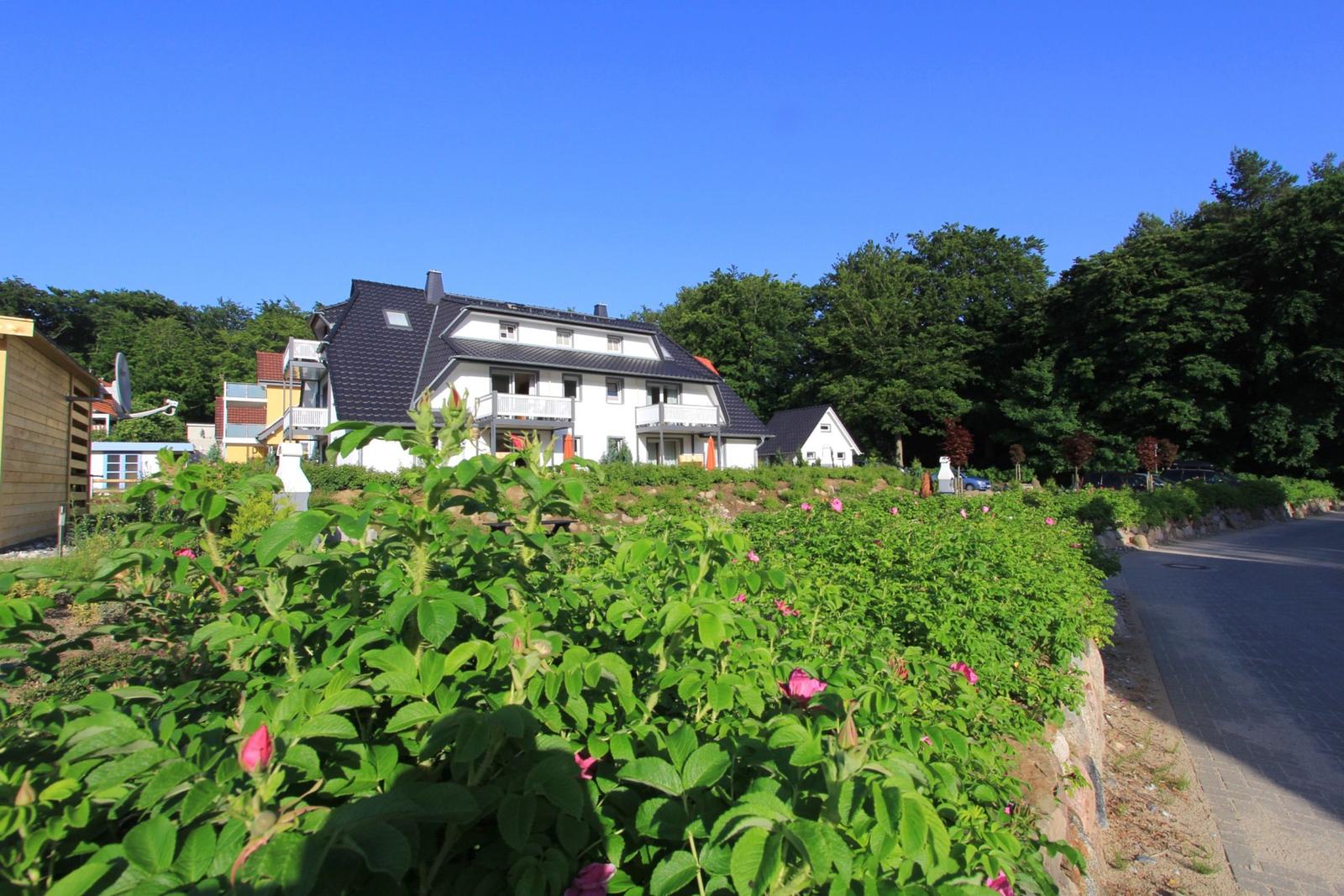 Gepflegte Zuwegung und Grünstreifen rund um das Ferienobjekt auf Usedom