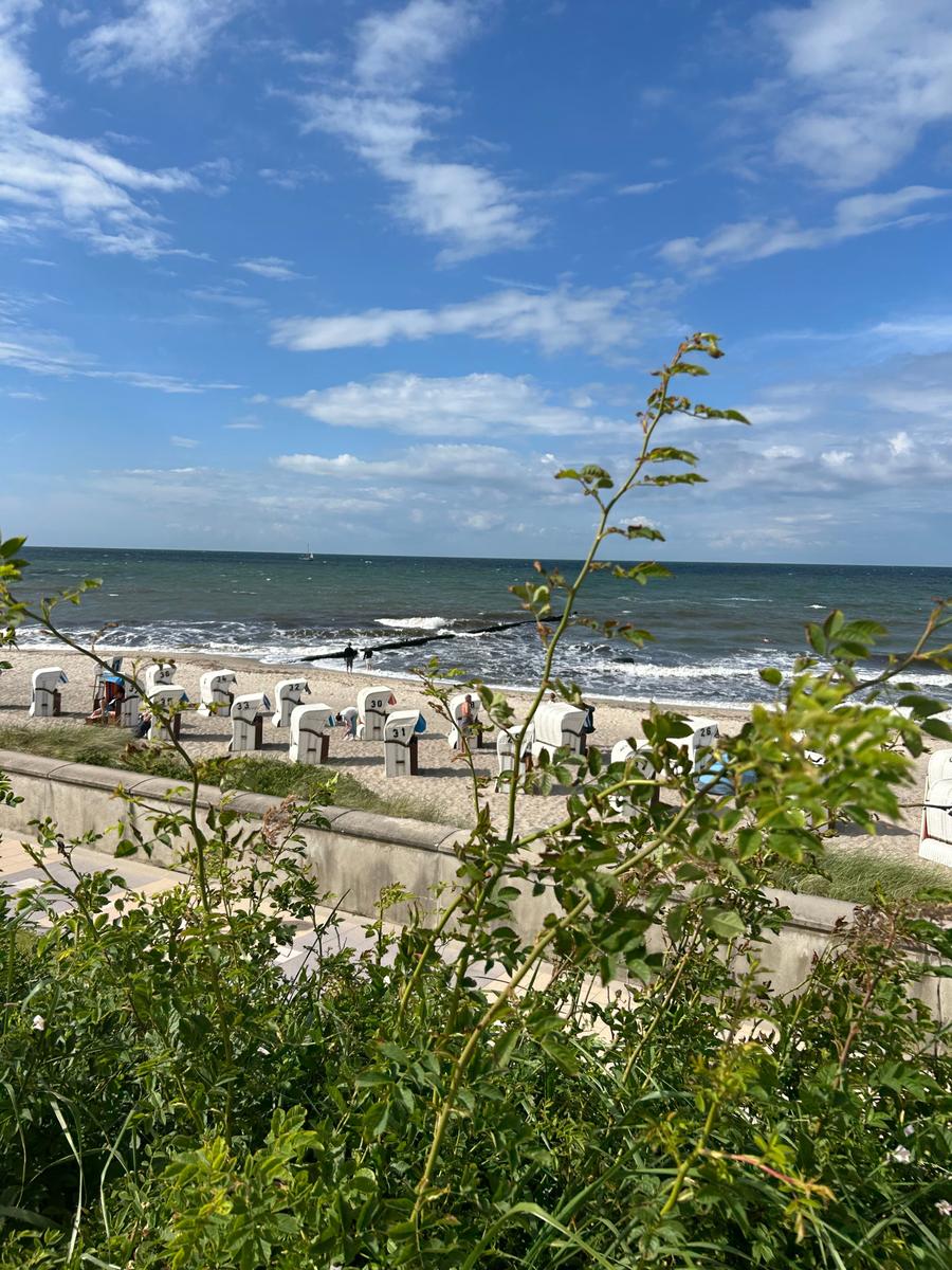 Blick auf Strand mit weißen Strandkörben und Meer unter blauem Himmel