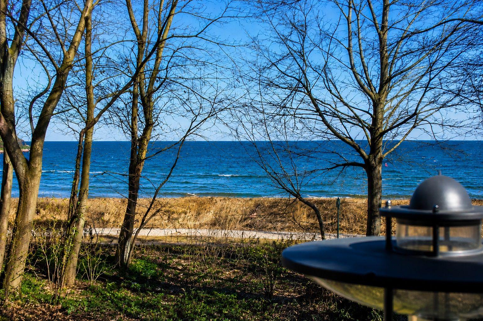 Blick durch Bäume auf das blaue Meer und einen Strandweg.