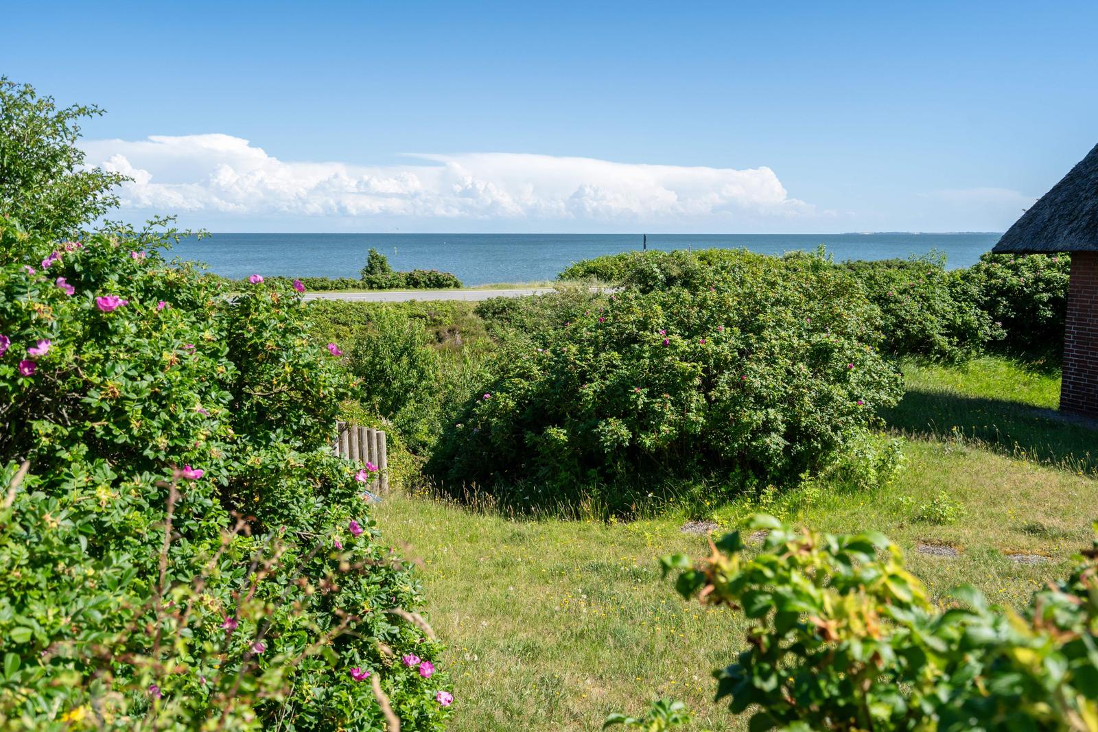 Grüner Garten mit rosa Blüten, Blick auf das Meer und einen Teil eines Gebäudes.